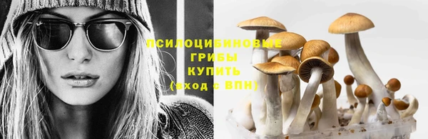 амф Волоколамск