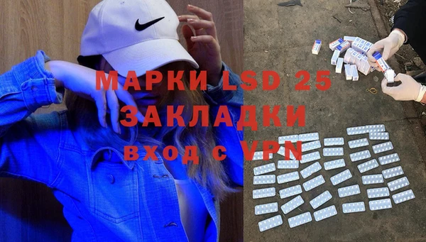 сатива Каменка