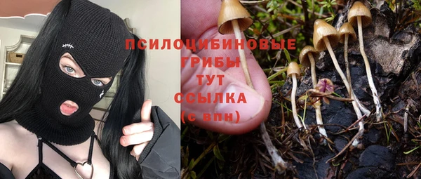 спайс Володарск