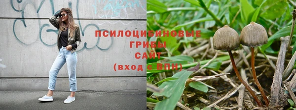 ECSTASY Волосово